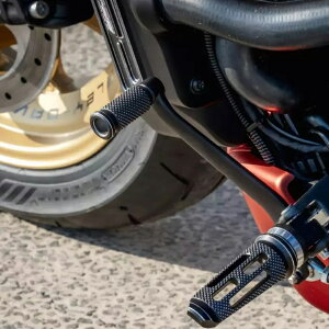 n[[ X|[cX^[S RH1250S VtgyO TeJbg yThunderbikez34-85-010