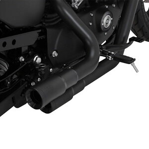 2004`2013 X|[cX^[ ~jOl[h tGL][Xg}t[ (ubN) oXAhnCY