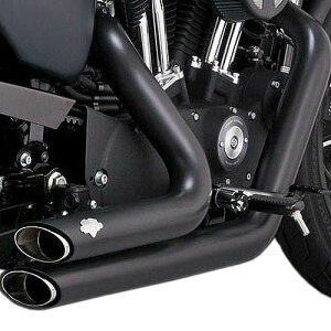 yoXnCYz2004`2013 X|[cX^[ V[gVbg}t[ ubN 