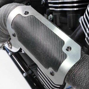 yDEIzGen3 Onyx q[gV[h@ubV/ubN@4x8