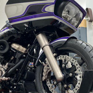 yArlen Nessz20-005 tH[Nu[cJo[ `^jEAm_CY 1980`2013 c[O