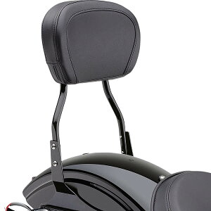 yCOBRAz Eh V[V[o[Zbg V[g ubN 2004`2021 X|[cX^[ 602-1253B