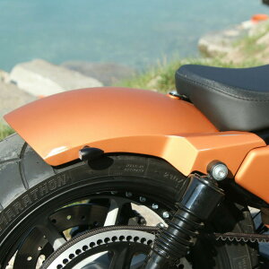 �yRicks Motorcycles�z2010�`2021 Sportster �X�`�[�����A�t�F���_�[ 180/200mm�^�C���p 50-1300200-0