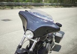 TSU-SMF-BOOX 5-3/4C`wbhCgpBATWING BOOXtFAO I[fBIt DYNASOFTAILp (6X9Xs[J[)