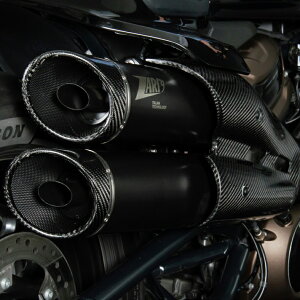 n[[ Sportster S EURO5 2-1-2tGL][Xg}t[(GTGhLbv) ZARD ZHD006S10SCO