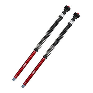 n[[ X|[cX^[S tgtH[NJ[gbWETXyVLbg yYSSz127-C02931501