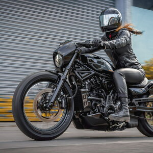 �n�[���[ �i�C�g�X�^�[ RH975/S �t�����g���������O�L�b�g �yThunderbike�z62-85-010
