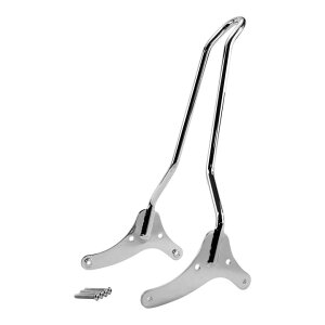 2004ȍ~ X|[cX^[ {gI LbNobNV[V[o[ N[ yTC Bros.z106-0098