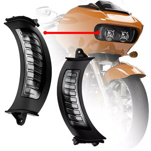 2015ȍ~FLTRf xgCT[g LEDfCCgECJ[ ubN@ASHM-RG-TL01BK