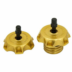 2018以降ソフテイル P16 MXベント ガスキャップセット ゴールド 【POWERPLANT】P16PRTCAPGLDM8