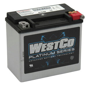 1991�`1996 �_�C�i�\�t�e�C�� PLATINUM SERIES �o�b�e���[ �yWESTCO�zWCP16L