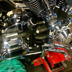 cCJGWp Chachos fbNXGW{gLbg u[ ySANTORO FABWORXz750-03003