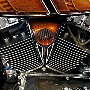 �yDirty Bird Concepts�zThe G Spot �z�[���L�b�g 2002�`2008 �c�[�����O DBC-169A