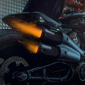 n[[ X|[cX^[S n[ttGL][Xg}t[/ubNAEgGPTCT[ Cobra Sport@MCHD01S007-BLK