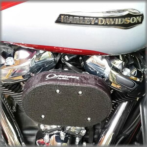 828nCt[GAN[i[p C\bNX DK Custom@DK-828-SOCK