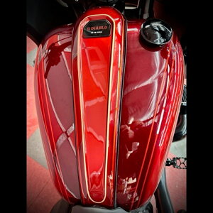 Paul Yaffe Slimline JX^E^N_bV yM8\teC [C_[S/STzSL-DK-S