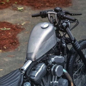 MOTO IRON FRISCOX^C 2.5K EFI^N y2007`2021 XL X|[cX^[z105-0170