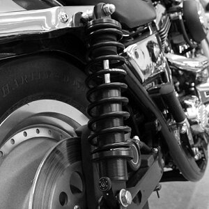 Legend Suspension Revo-A Lёt X^_[hEATXyV 12C` (ubN) yFXRz1310-1106