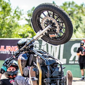 n[[ 11.8C` tgp Profile t[eBOEu[L[^[ ubN TC Bros116-0144