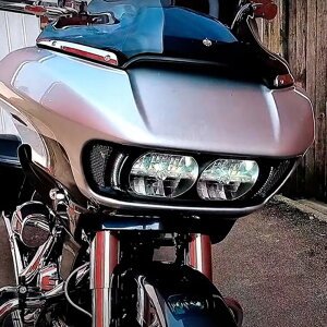 Custom Dynamics [hOCh LEDxgCT[g (ubN/XebV) [hOChA[hOCh3CD-RG-V-AW2-B