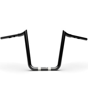 2024ȍ~ [hOCh vCGCvEnho[ 12C` (ubN) LA Choppers