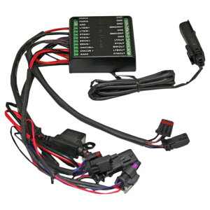 M8 �\�t�e�C�� �_�C�i�~�b�N ���[�h�A�C�\���[�^�[���W���[�� Custom Dynamics