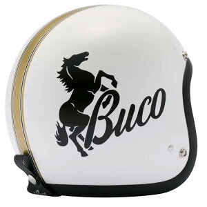 Buco GNXguR wbg X^If zCg