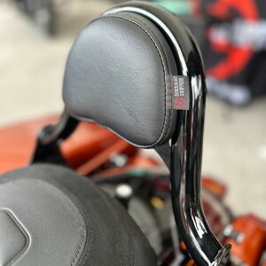 2009ȍ~ c[O HALOW V[V[o[/NXXeb`obNXgpbht (ubN) Siouxicide Choppers