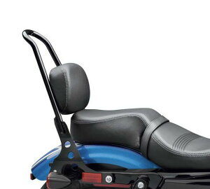 n[[ pbZW[sI@X|[cX^[ XL1200X/VfUC 52400125