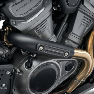 n[[ XN[~C[O GL][XgV[hCT[g J[{t@Co[@pAJ 65400648