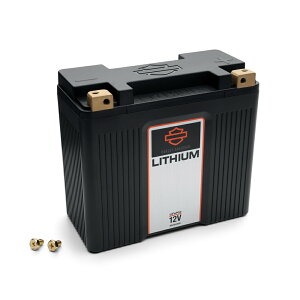 n[[ `E LiFe obe[ X|[cX^[A_CiA\teCAVRODp 66000302