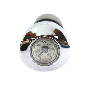 2004ȍ~ X|[cX^[ vtICfBbvXeBbN (N[/zCg)