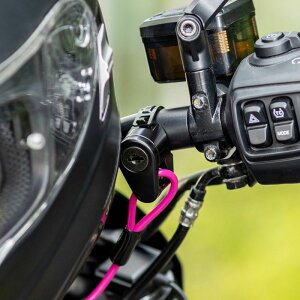 LW} pCvNv ėp wbgbN (ubN)