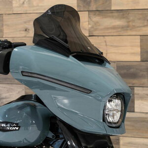 2024ȍ~ Xg[gOCh/Eg tAEEBhV[h 12C` (_[NX[N) NbN[NX