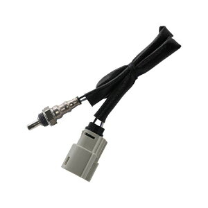 \teCA_CiAVbh O2ZT[ (tgp) hbOXyVeB[X