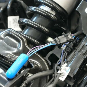 T_[oCN Z^[e[CgEG~l[^[Lbg 2025ȍ~ \teC