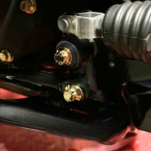 M8\teC Au[LP[W ARP{gLbg S[hAubNbV[ BAMCO MOTORSPORTS (oR [^[X|[c)