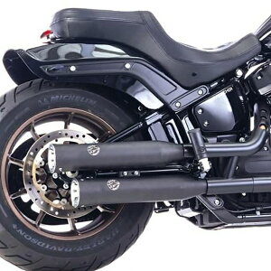 FALCON _uO[u XbvI}t[ (ubN) 2021`2024 \teC