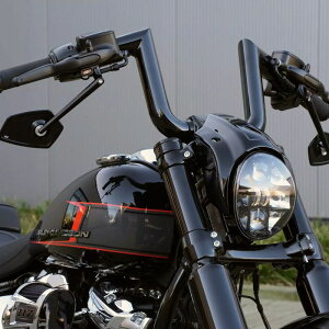 T_[oCN AgXEnho[ 25cm (ubN) 2025ȍ~ \teC