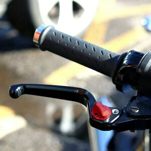 Ix AWX^uEu[Lo[ GA (ubN/bh) 2024ȍ~ c[O