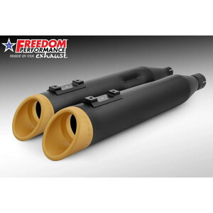 M8 c[O XbV RAPTOR XbvI}t[ 4.5C` ubN/S[h t[_ptH[}X