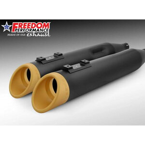 1995`2016 c[O XbV RAPTOR XbvI}t[ 4.5C` ubN/S[h t[_ptH[}X