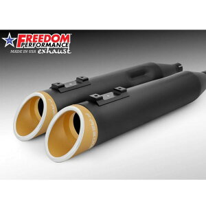 1995`2016 c[O XbV RAPTOR XbvI}t[ 4.5C` ubN/S[hRgXg t[_ptH[}X