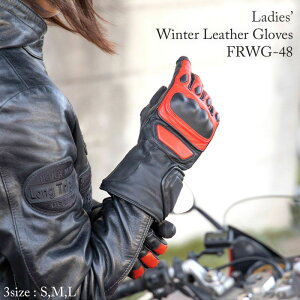 DEGNER fOi[ fB[X EC^[ U[ veN^[O[u ubN/bh