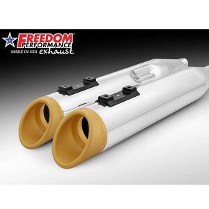 1995`2016 c[O XbV RAPTOR XbvI}t[ 4.5C` N[/S[h t[_ptH[}X