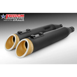 M8 c[O XbV RAPTOR XbvI}t[ 4.5C` ubN/S[hRgXg t[_ptH[}X