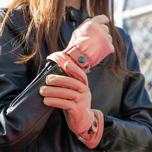 DEGNER fOi[ fB[X EC^[ U[O[u L