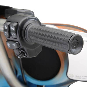 【ローランドサンズ(RSD)】 トラクション・グリップ ブラックops 電子制御スロットル車用 0063-2068-SB