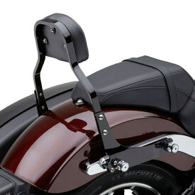 【コブラ】 ミニ・デタッチャブル シーシーバーセット ブラック 2018以降 FXLRST、FLSB 602-2031B