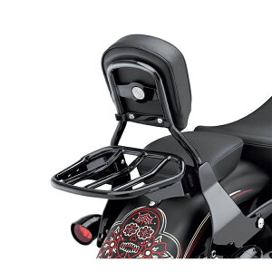 y50300031zn[[ JX^Ee[p[EX|[cEQbWbNCustom Tapered Sport Luggage Rack EVO\teC TC\teC X|[cX^[